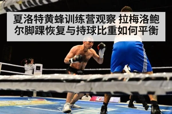 夏洛特黄蜂训练营观察 拉梅洛鲍尔脚踝恢复与持球比重如何平衡